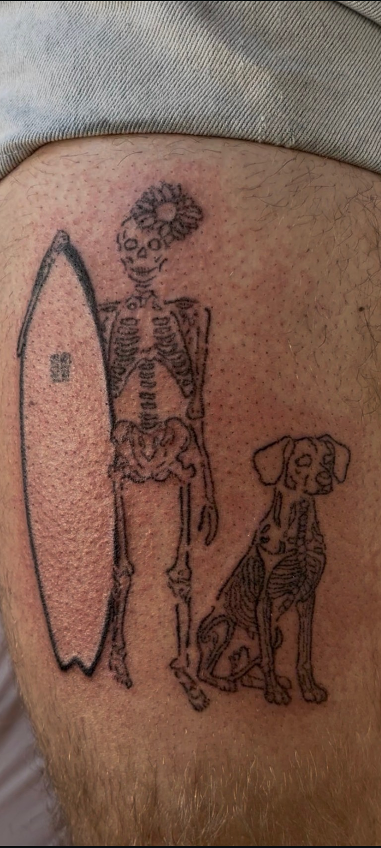 Skeleton human and dog with surfboard